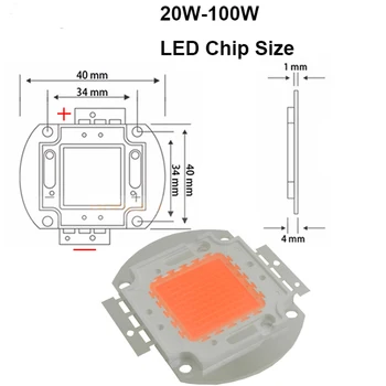 10vnt 50w 100w Hydroponics Bridgelux LED Karoliukai LED, COB Augti Chip visą spektrą 400nm~840nm padengti augalų visų šiltnamio efektą sukeliančių etapas 34898