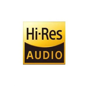 50pcs Hi-Res Audio Lipdukai Sony Walkman, Fiio, Shanling, Ibasso, Iriver, Cayin MP3 DAP ir Visi Hifi Įrenginys