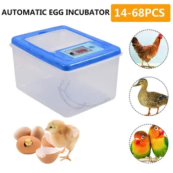 Automatinis Kiaušinių Inkubatorius 32 Kiaušiniai, Elektroninis Skaitmeninis Inkubatorius Peryklose Perykla Mašina Vištienos Ančių, Žąsų, Putpelių Paukščių Brooder