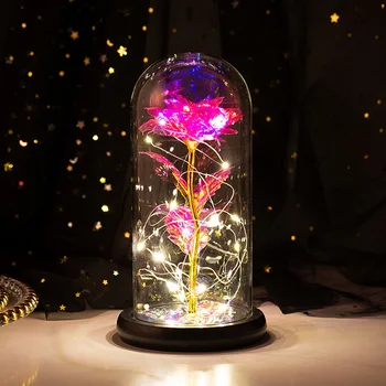 LED Dirbtinis Amžinąjį Aukso Folija Rose Stiklo danga Dome Lempa su Fairy String Žibintai, už Gimtadienio, Vestuvių, Valentino Dovanos