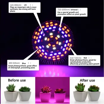LED Grow Light Augalas Auga Visą Spektrą E27 Auginimo Lempos Lemputė Patalpų Hydroponics Gėlių, Augalų Augimo Lempos Fito Augti Lauke