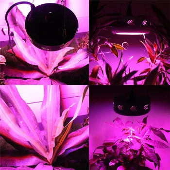 LVJING Led Grow Light Visą Spektrą 130/150/216/300W Led Grow Lempa Skydelyje Už Hydroponics Kambarinių Augalų Šviesos Augti Palapinė Growbox