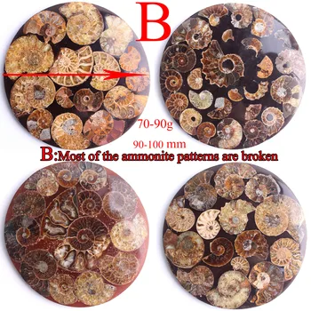 90-100mm Gražus Ammonite Iškastinio Apvalkalo Plokštės Diską Bazės Mineralinių Ammonoidea Amonitas Surinkimo Namų Dekoravimo, Dovanų