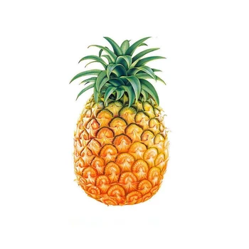 AKARZ Garsaus prekės ženklo gamtos aromaterapija ananasų Naftos atsipalaidavęs Odos kremas pagerina odos tekstūrą ananasų eterinis Aliejus