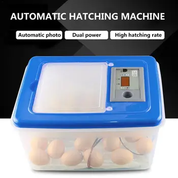 Automatinis Kiaušinių Inkubatorius 32 Kiaušiniai, Elektroninis Skaitmeninis Inkubatorius Peryklose Perykla Mašina Vištienos Ančių, Žąsų, Putpelių Paukščių Brooder