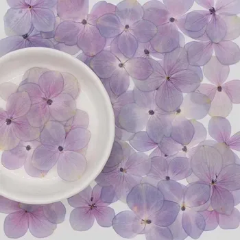 120pcs Džiovintų Presuotų Gamtos Rožinė-Violetinė Hydrangea Gėlių, Augalų Herbariumas Papuošalai Žymą Telefono dėklas užrašų knygelė 