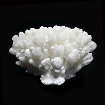308g Gamtos Hydrozincite Mineralinių Kristalų Mėginių Namų Puošybai Iš Datian Sanming Fujian Provincijoje Kinijos A4-1