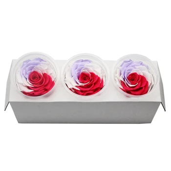 1 Dėžutė Amžinąjį Flores Preservadas Naturales Džiovintos Gėlės Konservuotos Gėlės Nemirtingas Rose 8cm Valentino Dienos, Gimtadienio dovana