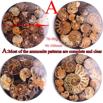 90-100mm Gražus Ammonite Iškastinio Apvalkalo Plokštės Diską Bazės Mineralinių Ammonoidea Amonitas Surinkimo Namų Dekoravimo, Dovanų