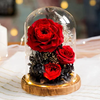 2020 Nauja Kalėdinė dovana Valentino Dienos Dovana Grožio Ir Žvėrys Rose Eternal Rose Su LED Šviesos Stiklo Kupolas Gimtadienio Dovana