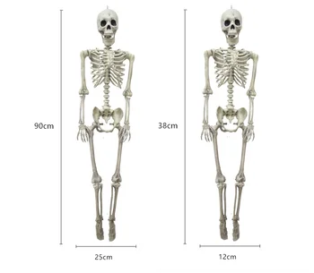 36 Colių Helovinas Atraminis Karkasas Visu Dydžiu Skeletas Kaukolės Vertus Tikroviška Žmogaus Kūno Poseable Anatomijos Modelis Šalis Festivalis Dekoras