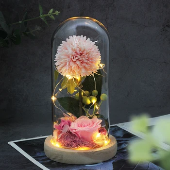 Motinos Dieną, Grožio Ir Žvėrys Rožių Gėlių Kiaulpienių Stiklo Kupolas LED Rose Lempos Vestuvės Valentino Dovana